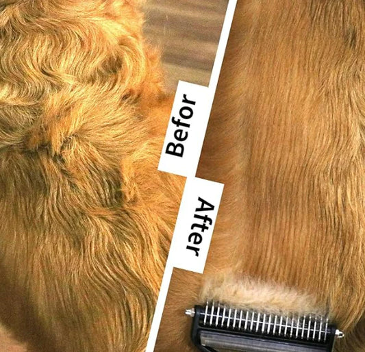 Peine acicalador de mascota | ENVÍO GRATIS